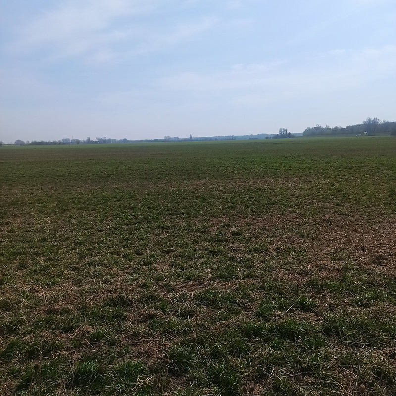 UMWANDLUNG VON MEHR ALS 10 HA ACKERLAND IN WEIDEN IN DER SLOWAKEI HAT BEGONNEN